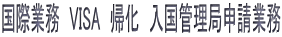 国際業務　VISA　帰化　入国管理局申請業務